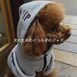 犬のためのくつろぎのジャズ - Happy Music for Retail Stores
