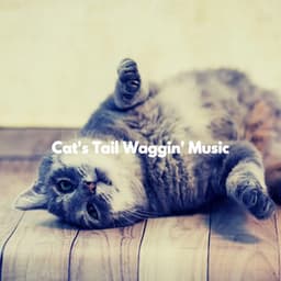 Cat's Tail Waggin' Music - LA Jazz Bar