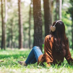 Tranquil Sounds: Relaxing Music for Stress Relief - Noise Makers