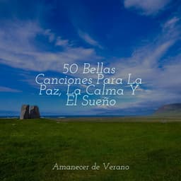 50 Bellas Canciones Para La Paz, La Calma Y El Sueño - Zen Music Garden