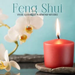 Feng Shui: Vivere equilibrato in armonia naturale - Relax ambientale musica zen club