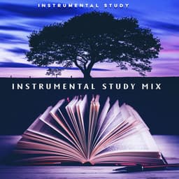 Instrumental Study Mix - Instrumental Study