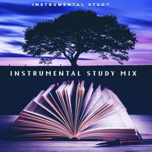 Instrumental Study Mix - Instrumental Study