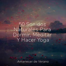 50 Sonidos Naturales Para Dormir, Meditar Y Hacer Yoga - Sonido Del Bosque y Naturaleza