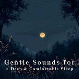 Gentle Sounds for a Deep & Comfortable Sleep - Relax α Wave