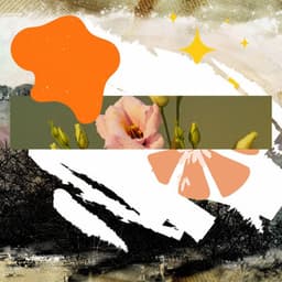 Feelings for Roaring Lounge - Música para Cafeterías