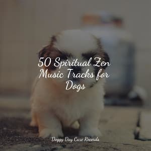 50 Spiritual Zen Music Tracks for Dogs - Relaxmydog