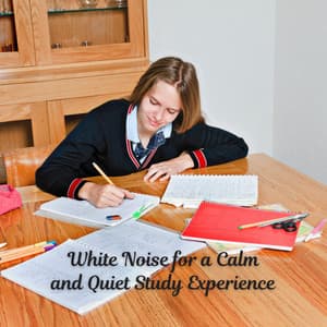 White Noise for a Calm and Quiet Study Experience - 500 Hz White Noise