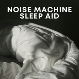 Noise Machine Sleep Aid - White Noise Collectors
