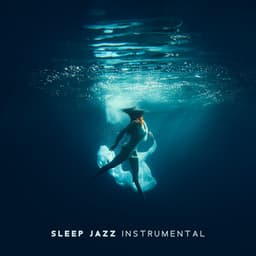 Sleep Jazz Instrumental: Insomnia Cure - Calming Piano Music Collection