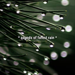 * sounds of forest rain * - Sound Effects Library