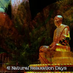 41 Natural Relaxation Days - Meditation Focus