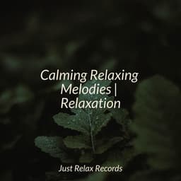 Calming Relaxing Melodies | Relaxation - Anxiety Relief