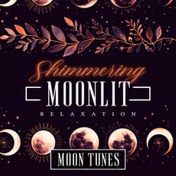 Shimmering Moonlit Relaxation - Moon Tunes