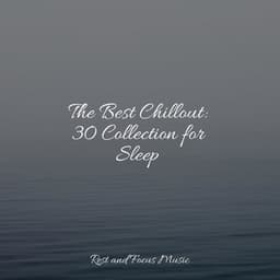 The Best Chillout: 30 Collection for Sleep - Deep Sleep Meditation