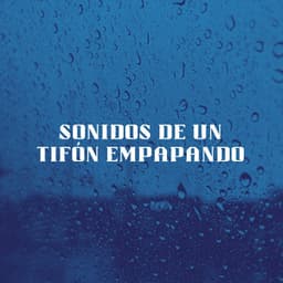 Sonidos De Un Tifón Empapando - Tormentas Naturales