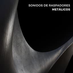 Sonidos De Raspadores Metálicos - Colección Balneario