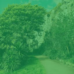 Alluring Trumpet Solo - Ambiance for Devoted Inspiration - Jazzy VIbes for Study Time