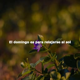 El domingo es para relajarse al sol - Relaxing Music Orchestra