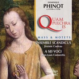 Dominique Phinot : Messe quam pulchra es & Motets - Dominique Phinot