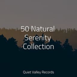50 Natural Serenity Collection - Ambient Music Therpy