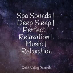 Spa Sounds | Deep Sleep | Perfect | Relaxation | Music | Relaxation - Sonidos de la Naturaleza