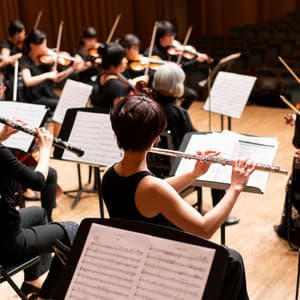 Serene Orchestra: Meditation Harmony - Valborg Shamsuddin