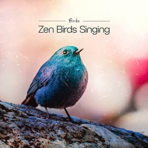 Zen Birds Singing - Birds