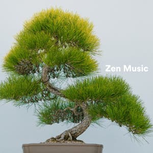 Zen Music - MusicoterapiaTeam