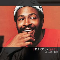 The Marvin Gaye Collection - Marvin Gaye