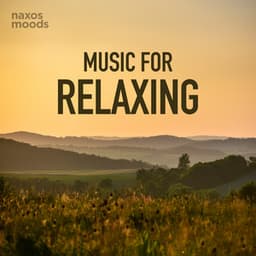 Music for Relaxing - Erik Satie