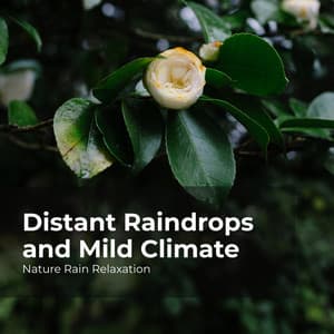 Distant Raindrops and Mild Climate - Nature Rain Relaxation