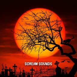 Scream Sounds - Spooky Halloween Sounds