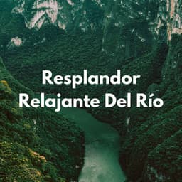 Resplandor Relajante Del Río - Sonidos de Cascadas