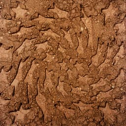 Unerthed: Hole Erth Unplugged - Toro y Moi