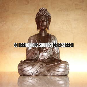 56 Harmonious Sounds For Research - Meditation Group