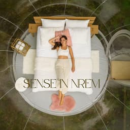 Sense in NREM - Alys Coliere