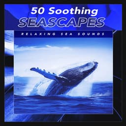 50 Soothing Seascapes - Relaxing Sea Sounds