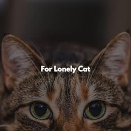 For Lonely Cat - Chill Lounge Hotel