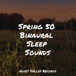 Spring 50 Binaural Sleep Sounds For Dogs - Deep Focus