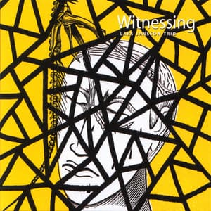 Witnessing - Lars Jansson