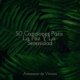 50 Canciones Para La Paz Y La Serenidad - Musica para Meditar
