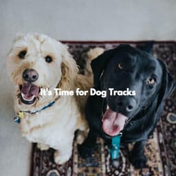 It's Time for Dog Tracks - Coffee House Jazz Playlist