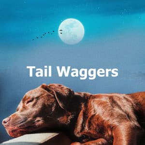 Tail Waggers - Music For Dogs