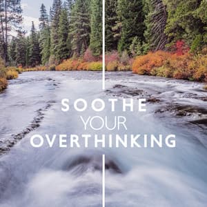 Soothe Your Overthinking: Birds & Water Sounds for Calm Mind - Calming Music Ensemble