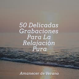 50 Delicadas Grabaciones Para La Relajación Pura - Sonido Del Bosque y Naturaleza