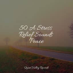 50 A Stress Relief Sounds Peace - Spa & Spa