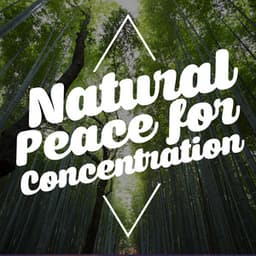 Natural Peace for Concentration - Exam Study Nature Music Nature Sounds