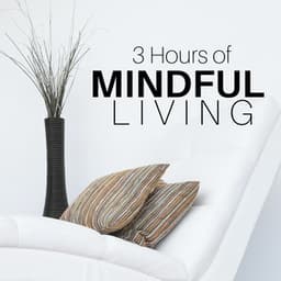 3 Hours of Mindful Living - Meditation Music Ensemble - Deep Zen Ambient