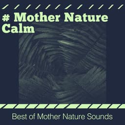 # Mother Nature Calm - Best of Mother Nature Sounds